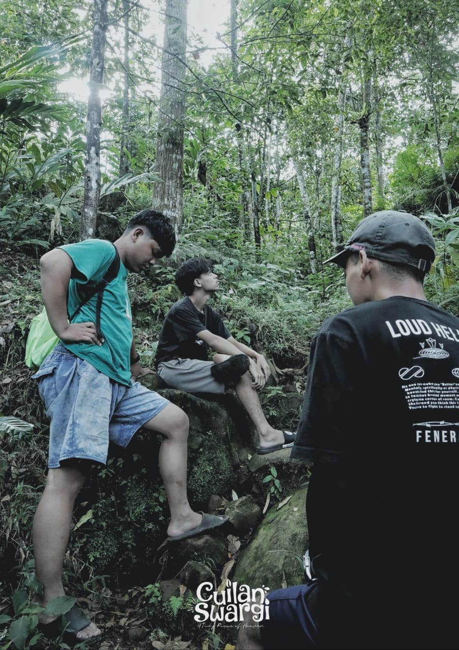 Semaya Forest